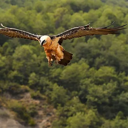 Apartamento Casa Pochetas