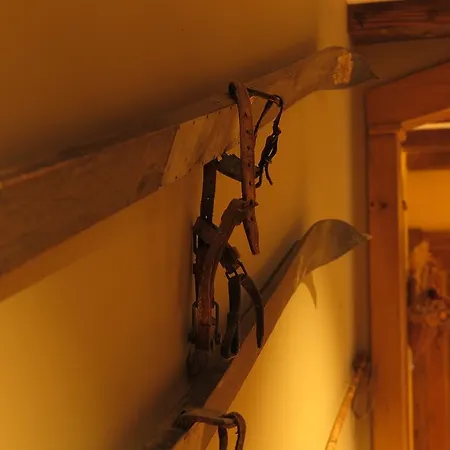 Daire Casa Pochetas