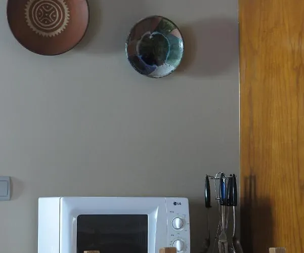 Casa Pochetas Lejlighed Bielsa