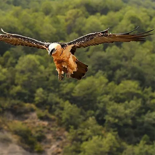 Lejlighed Casa Pochetas